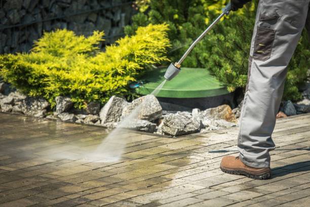 Best Fence Cleaning  in Lincoln, MO